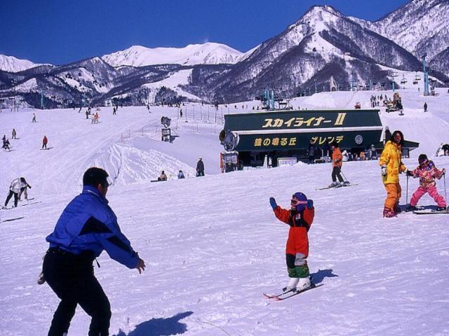 Lodge Shosen Otari Екстериор снимка